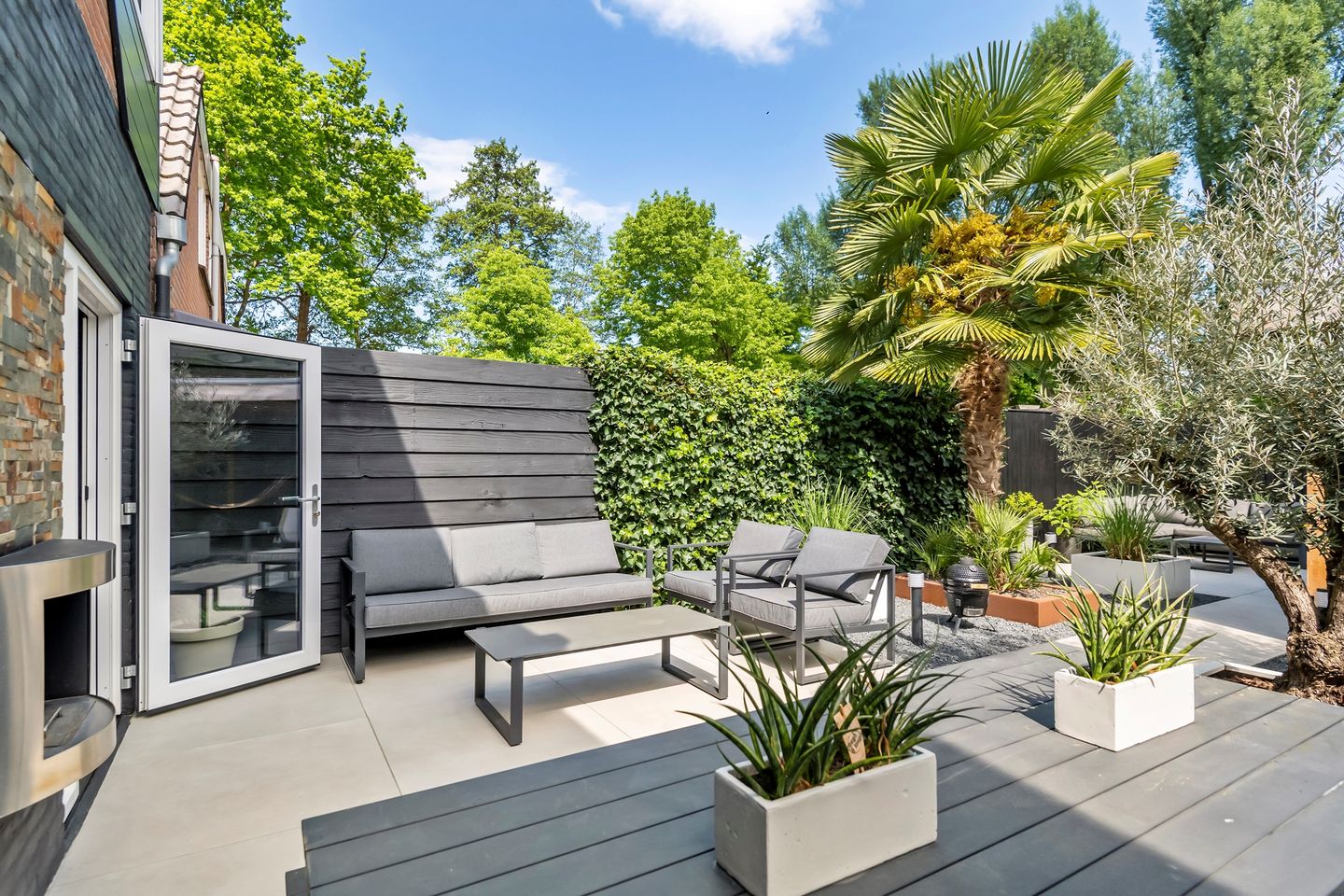 Foto 20 van Muurzwaluw 38