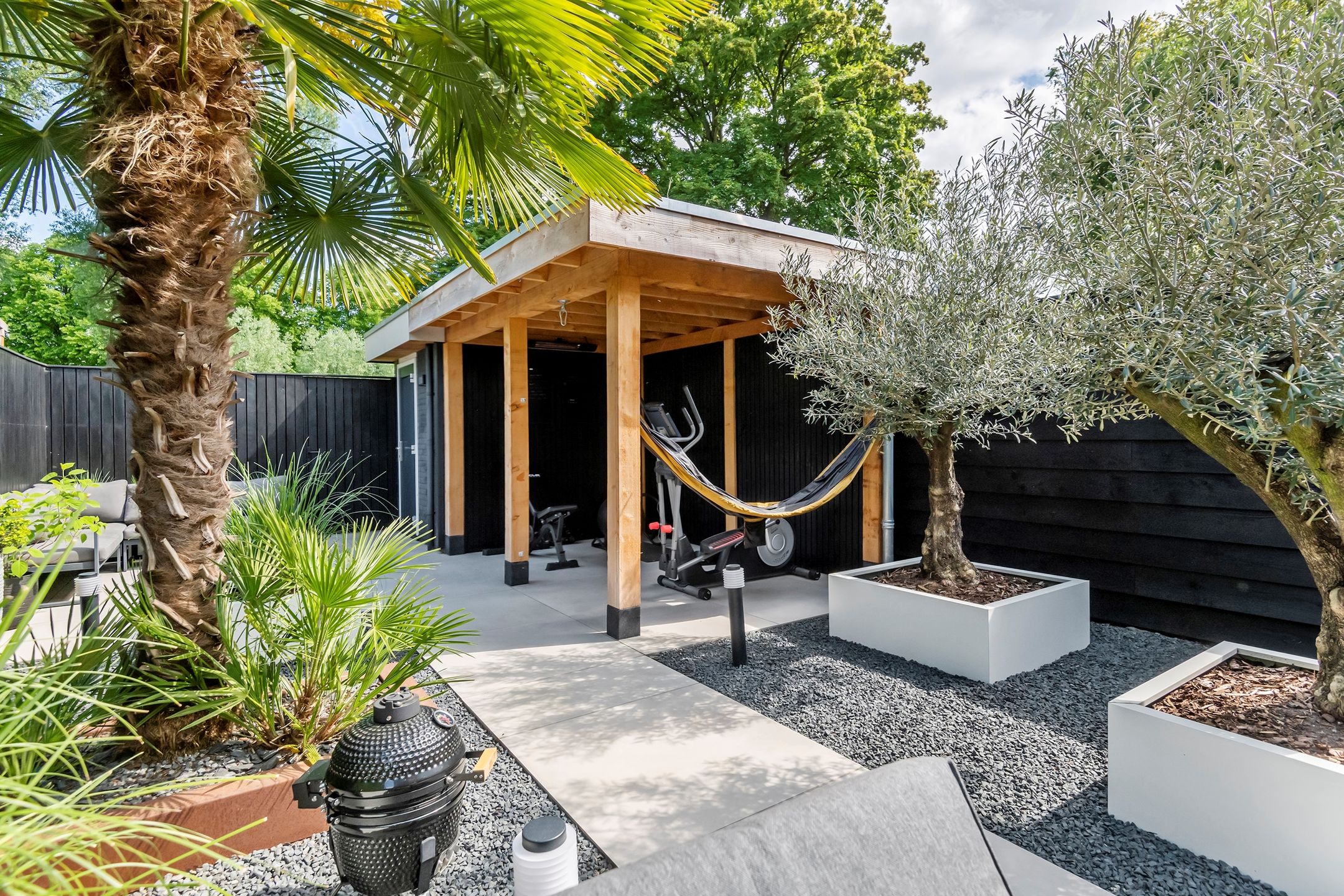 Foto 21 van Muurzwaluw 38