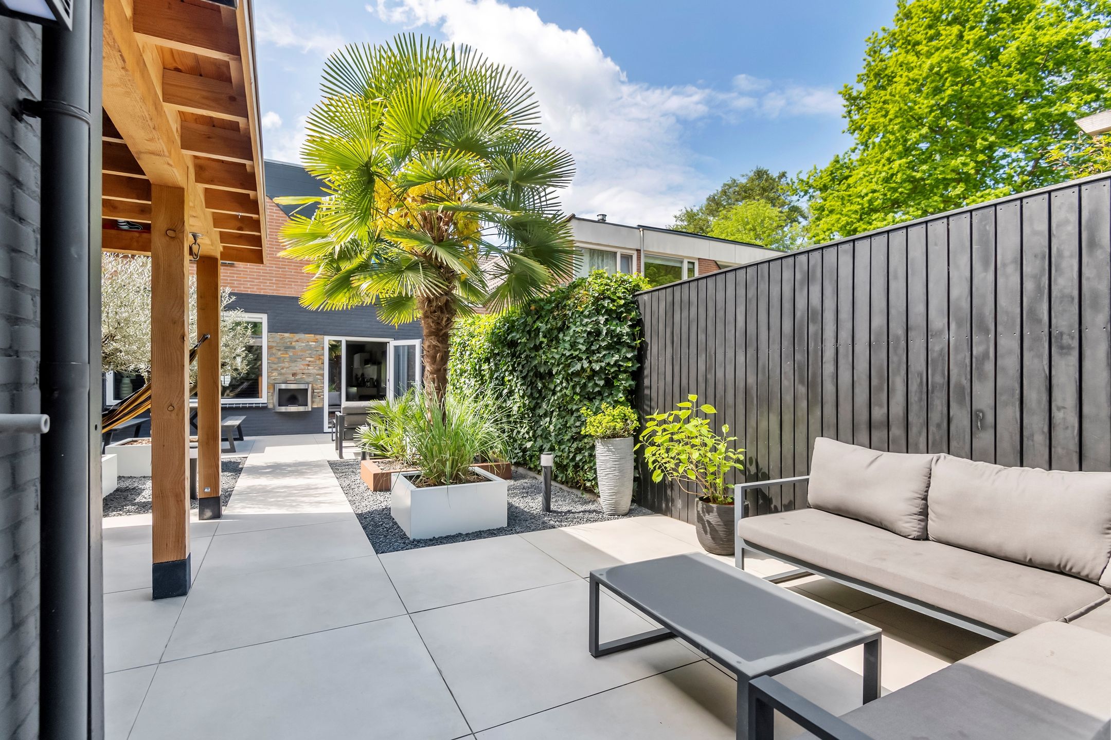 Foto 24 van Muurzwaluw 38