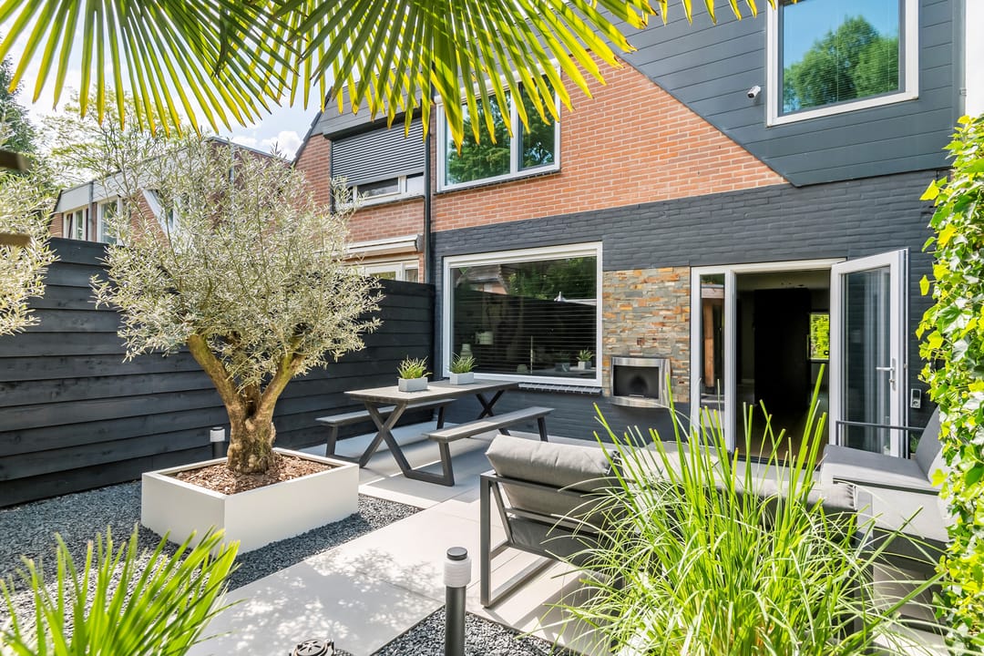 Foto 26 van Muurzwaluw 38