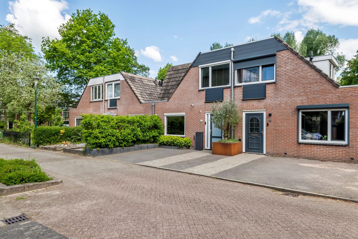 Foto 49 van Muurzwaluw 38