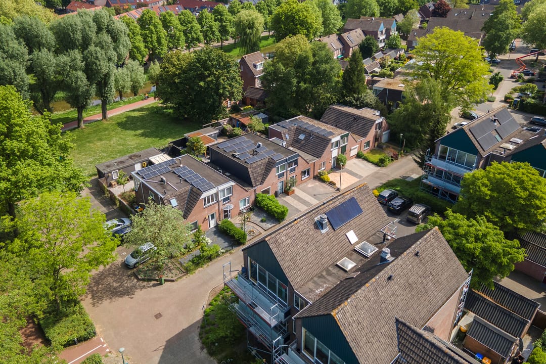 Foto 52 van Muurzwaluw 38