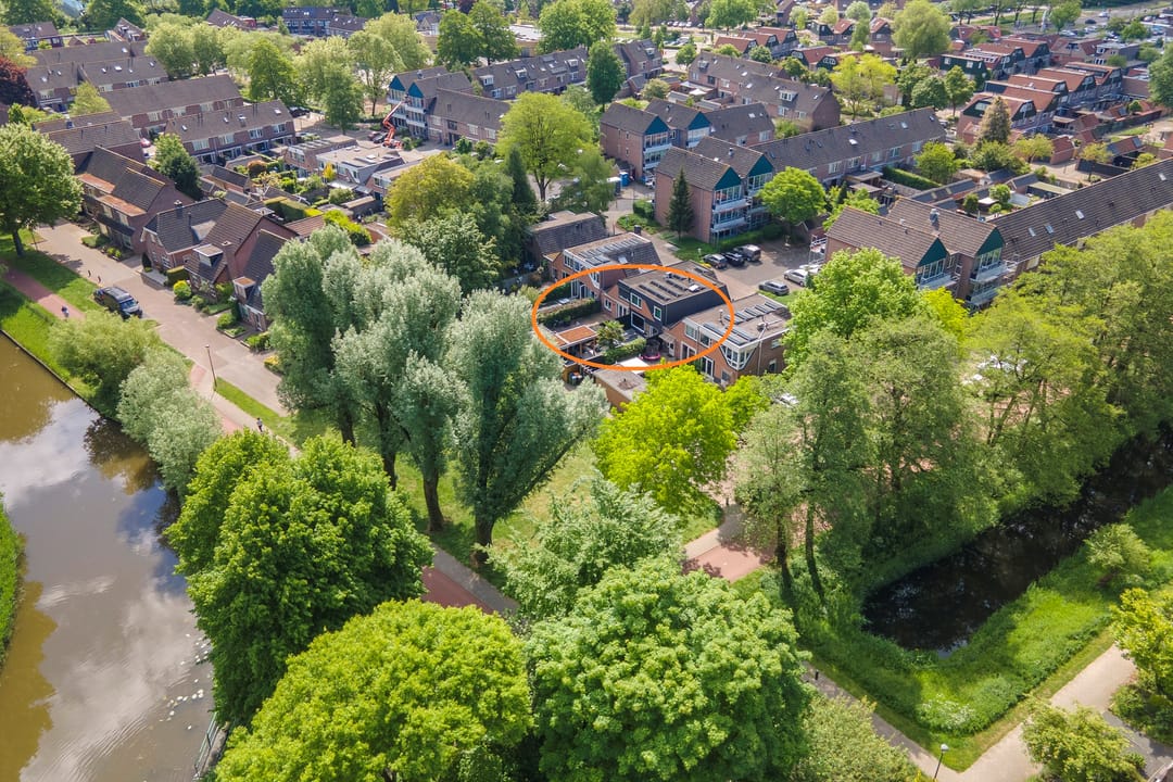 Foto 53 van Muurzwaluw 38