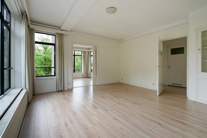 Foto 2 van Stadhoudersplantsoen 100