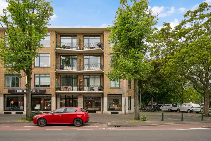 Foto 3 van Stadhoudersplantsoen 100