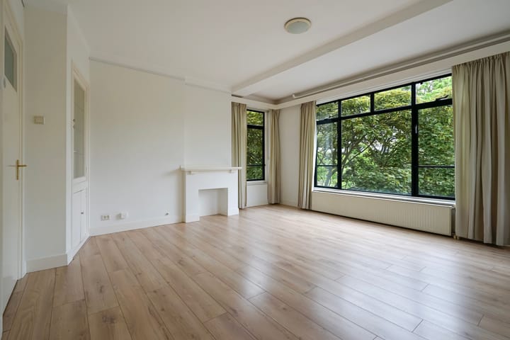 Foto 8 van Stadhoudersplantsoen 100