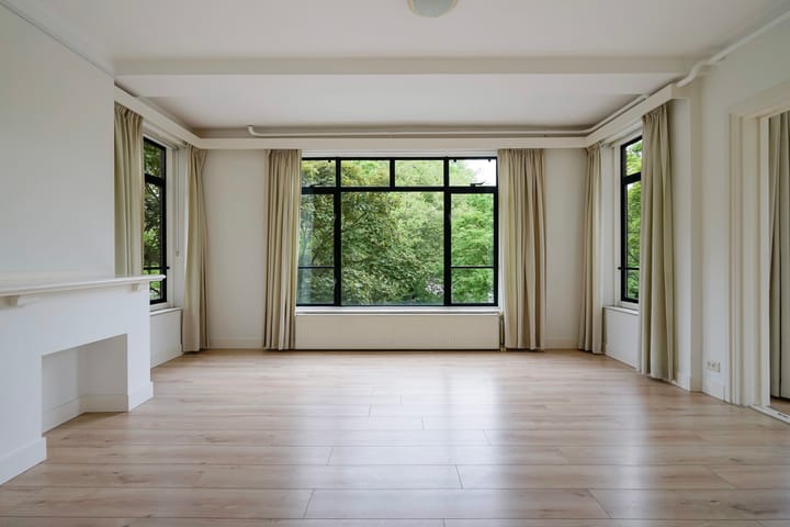 Foto 10 van Stadhoudersplantsoen 100