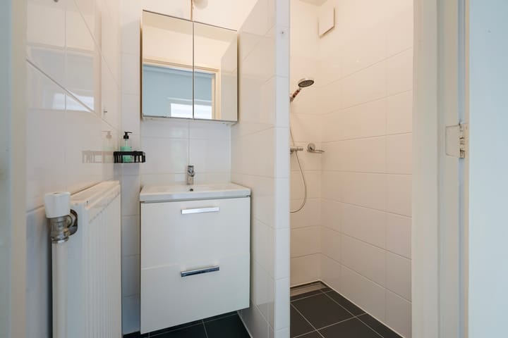 Foto 18 van Stadhoudersplantsoen 100