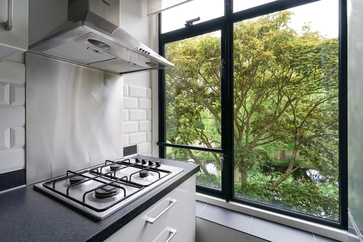 Foto 21 van Stadhoudersplantsoen 100