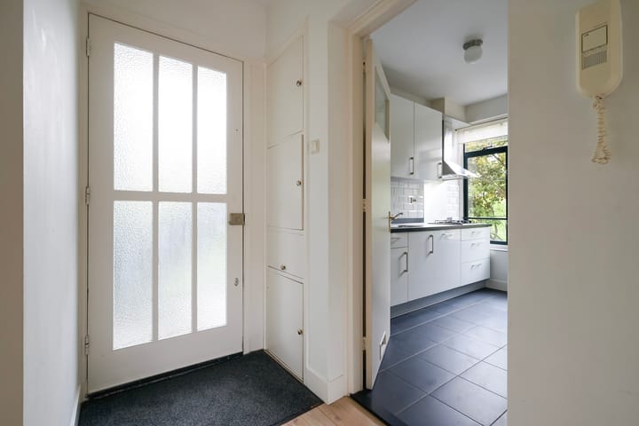 Foto 23 van Stadhoudersplantsoen 100