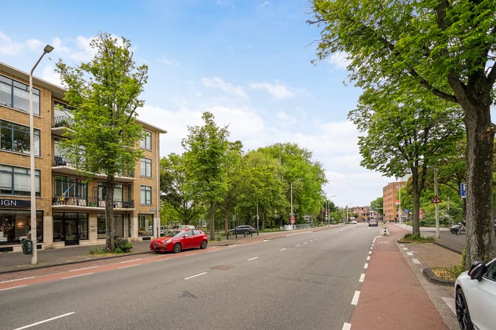 Foto 28 van Stadhoudersplantsoen 100