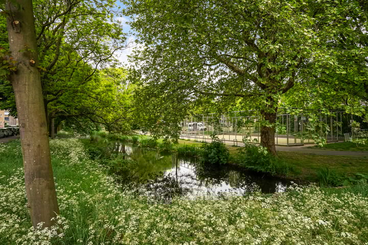 Foto 29 van Stadhoudersplantsoen 100