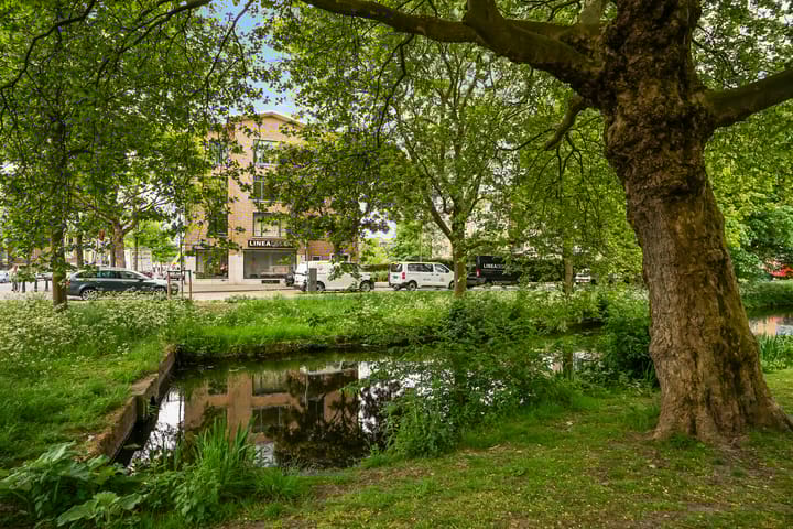 Foto 30 van Stadhoudersplantsoen 100