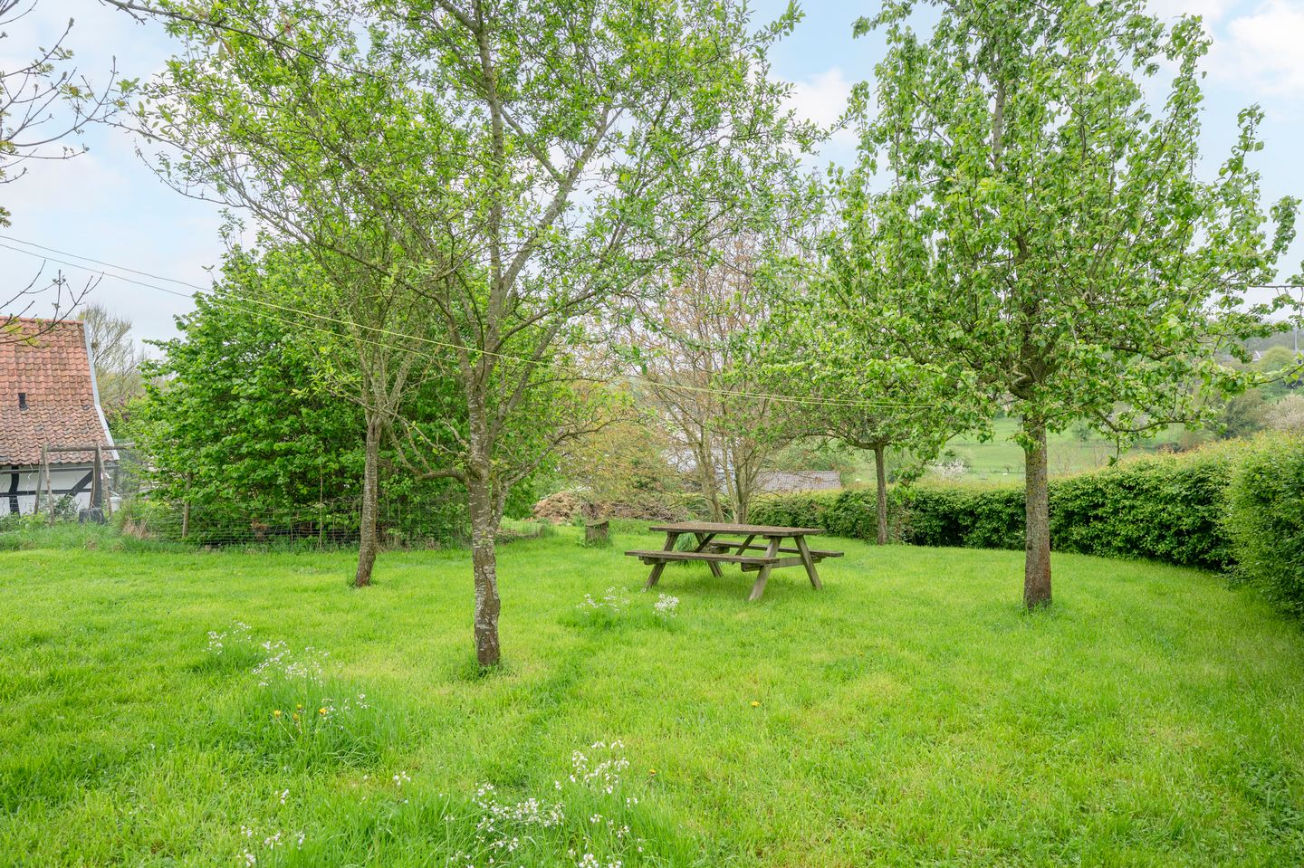 Foto 40 van Papenweg 5