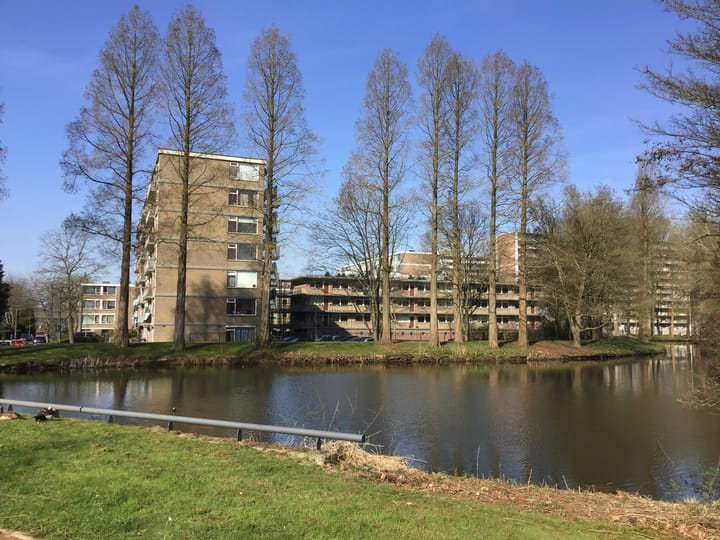 Foto 17 van Valkreek 35