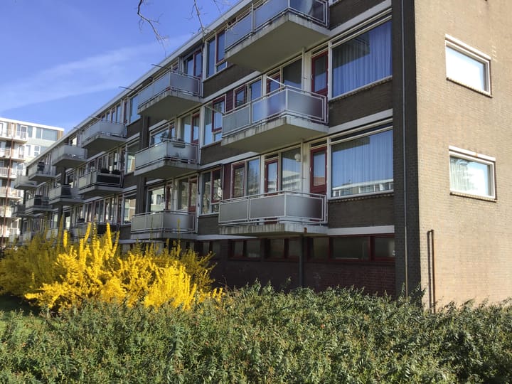 Foto 18 van Valkreek 35