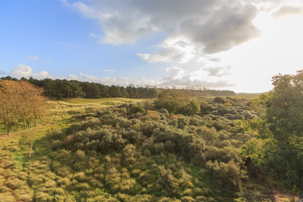 Photo 34 of Hogeweg 54-F1