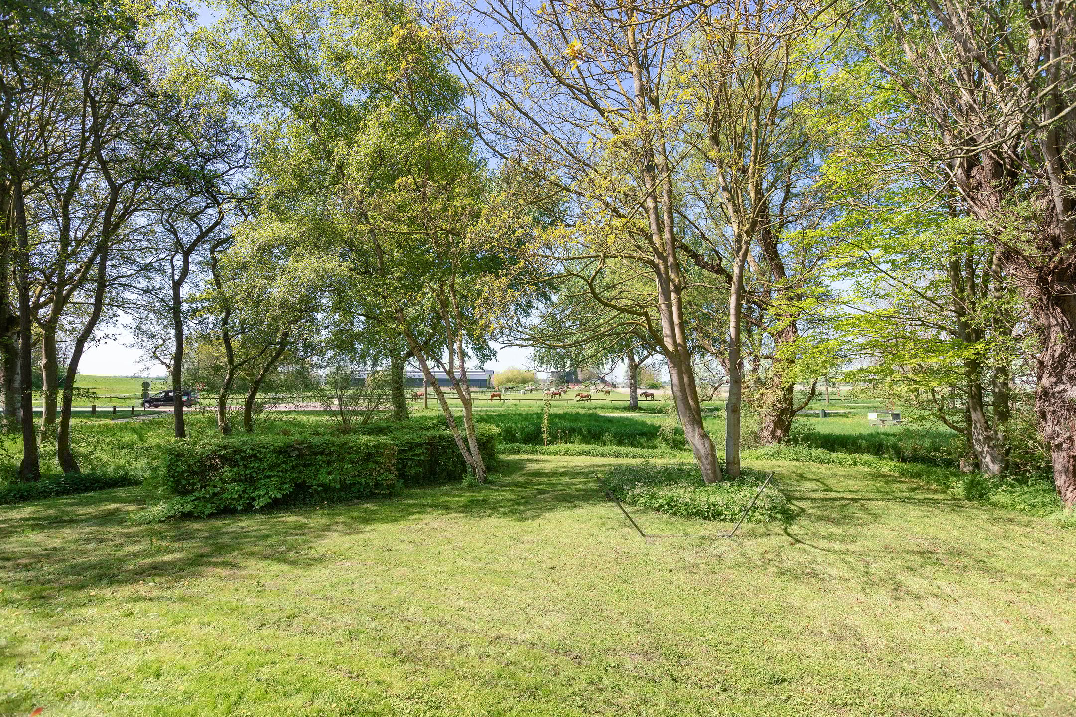 Foto 9 van Oosternielandsterweg 48