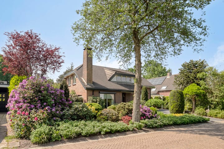 Foto 2 van Nederheide 9-A