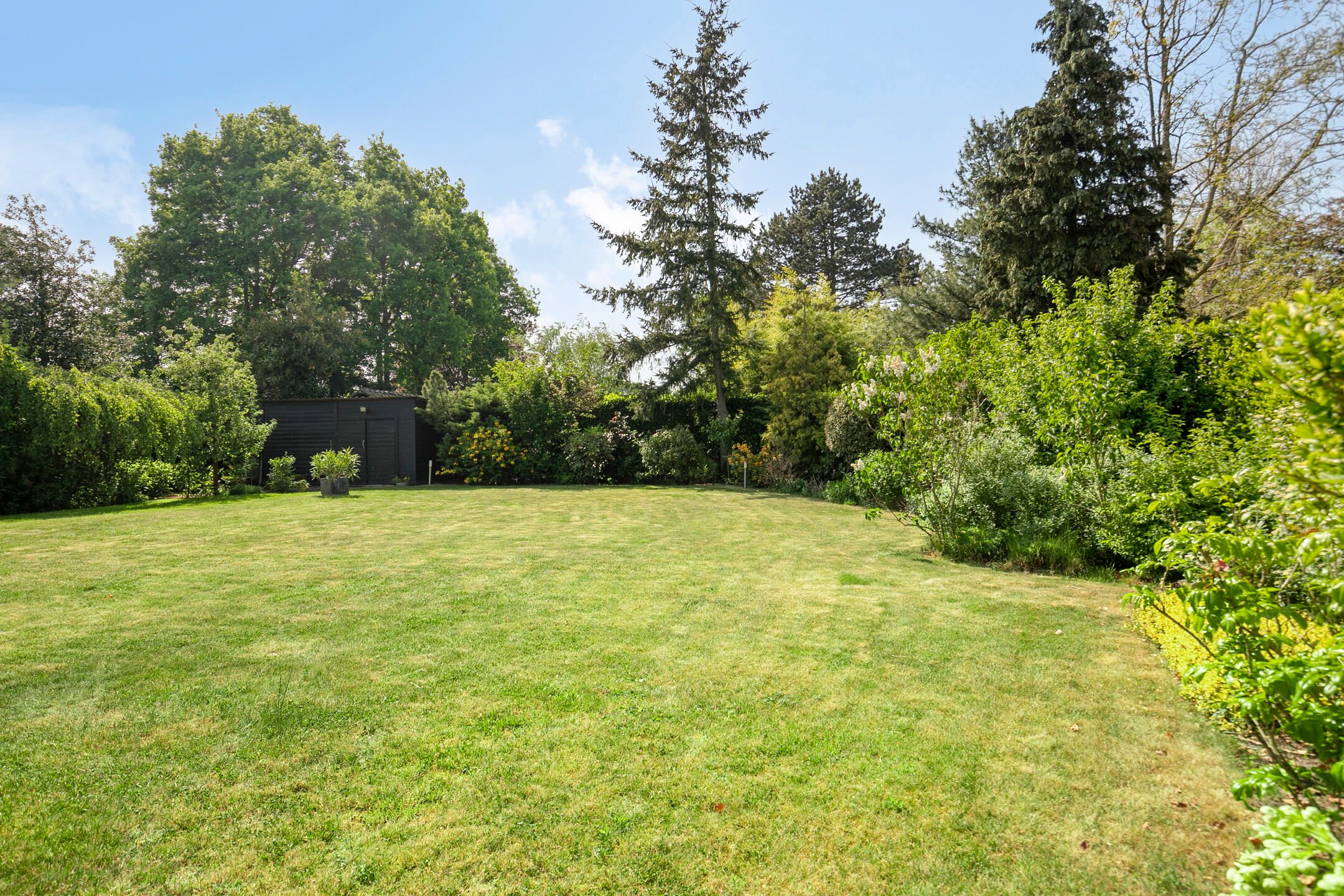 Photo 3 of Nederheide 9-A