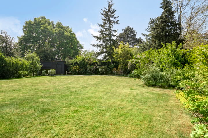 Foto 3 van Nederheide 9-A