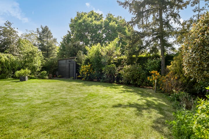 Foto 31 van Nederheide 9-A