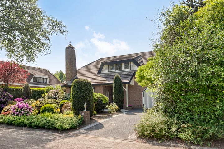 Foto 39 van Nederheide 9-A