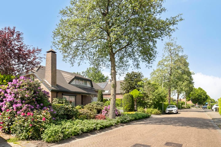 Foto 41 van Nederheide 9-A