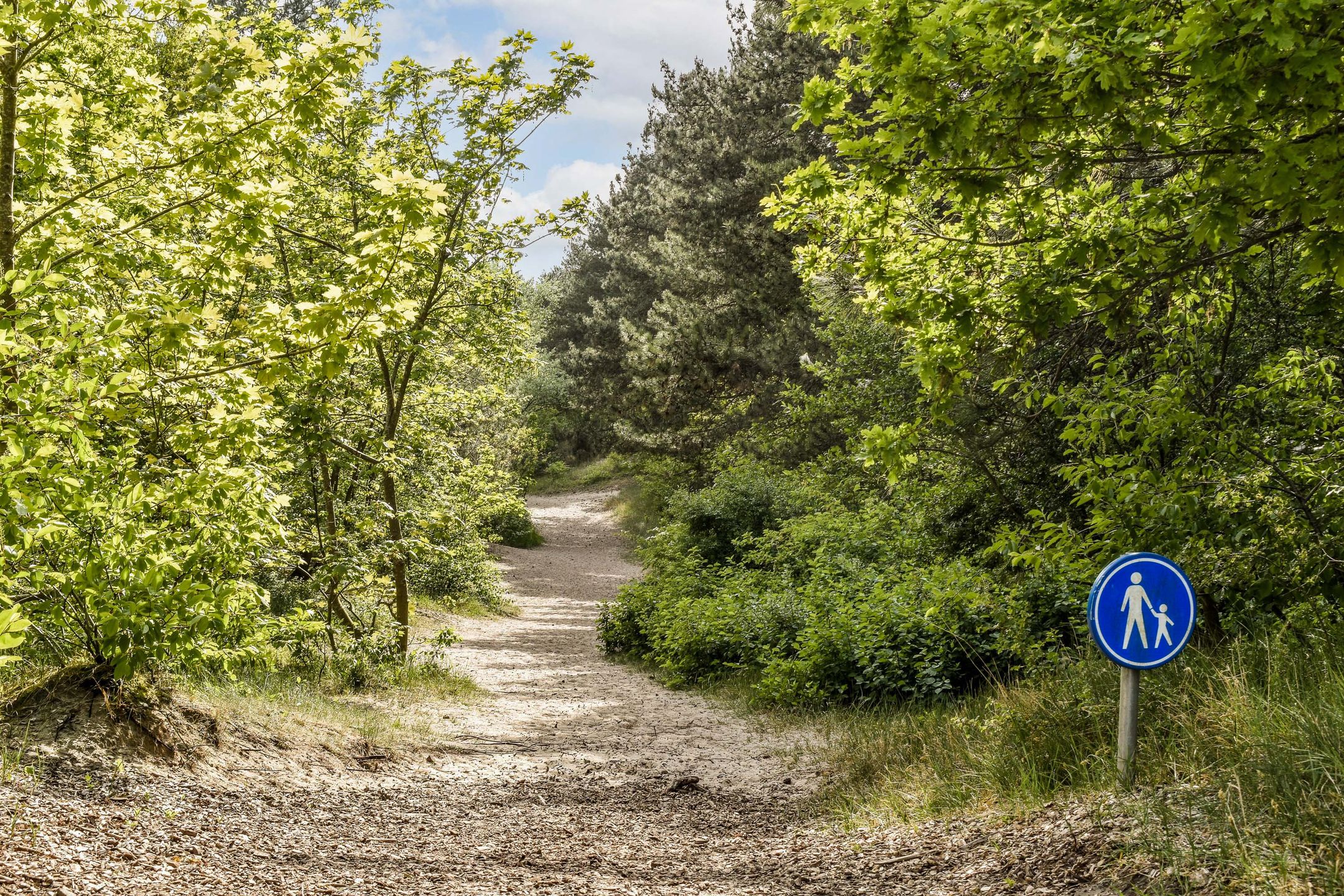 Foto 42 van Nieuw Rijksdorp 70