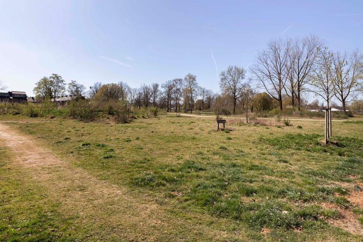 Foto 33 van Maasstraat 49