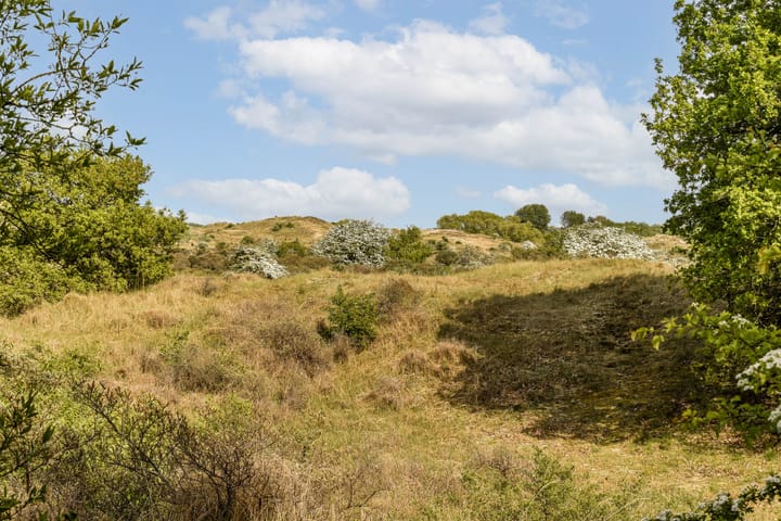 Foto 43 van Nieuw Rijksdorp 70