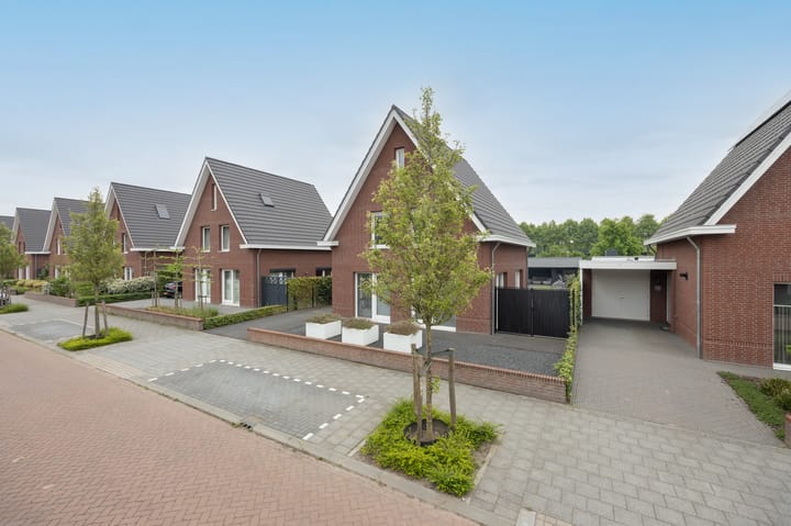 Foto 49 van Baroniestraat 32