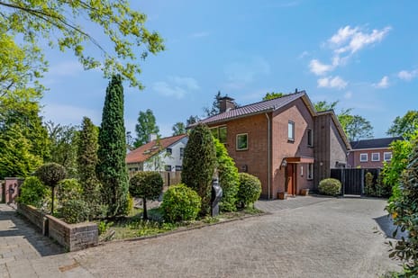 undefined main image