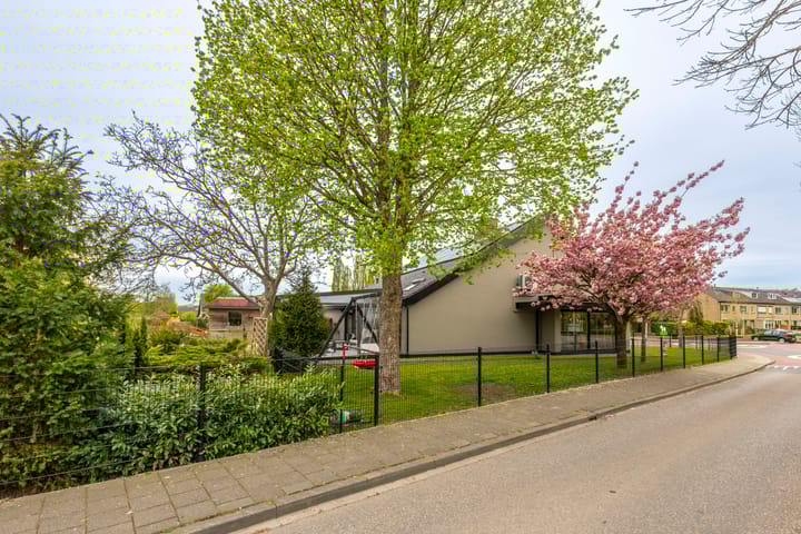 Photo 51 of Irenestraat 156