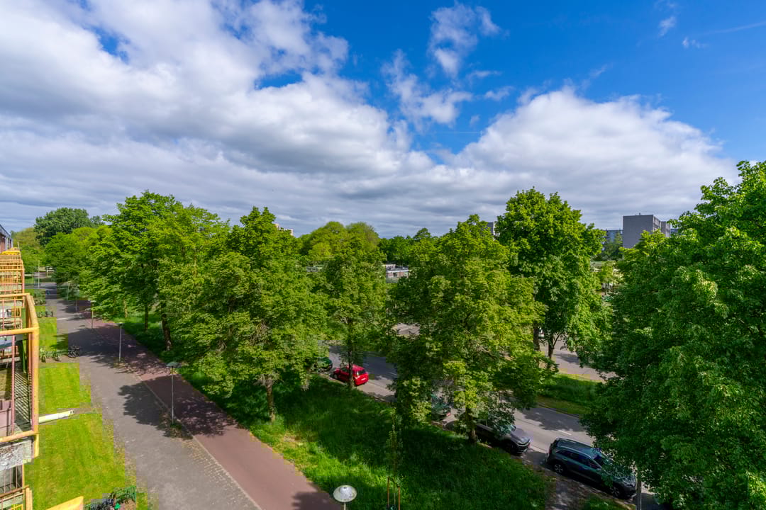 Foto 17 van Moezeldreef 271