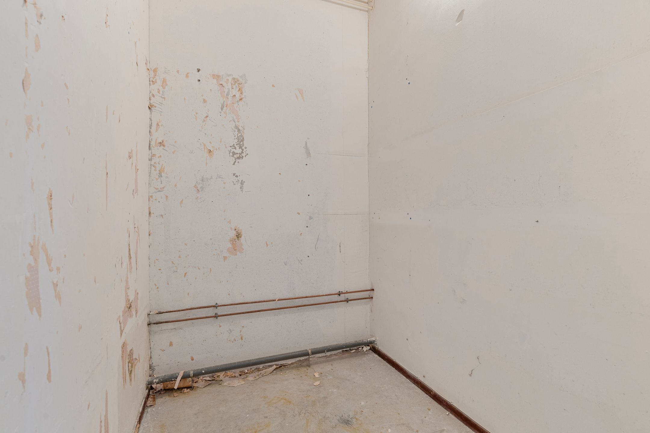 Foto 24 van Donizettirode 4