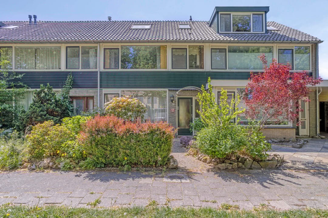 Photo 1 of Laan 1954 13