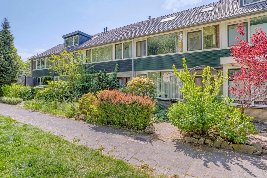 Photo 2 of Laan 1954 13