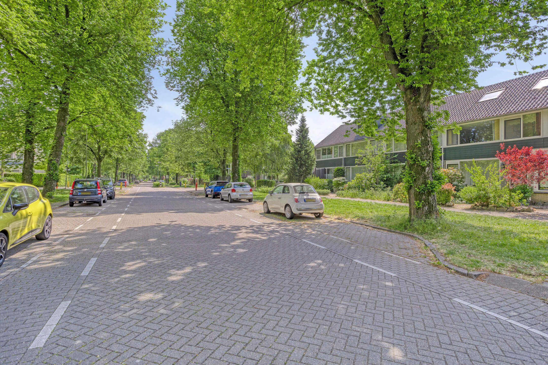 Photo 3 of Laan 1954 13