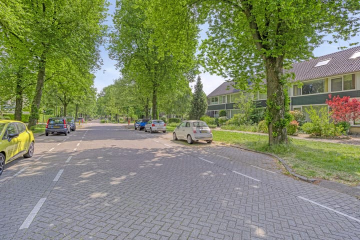 Foto 3 van Laan 1954 13