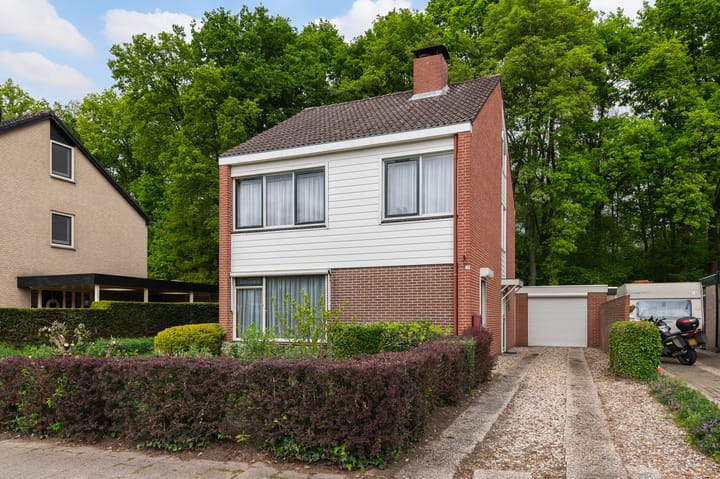 Foto 1 van Pieter Langendijkstraat 38