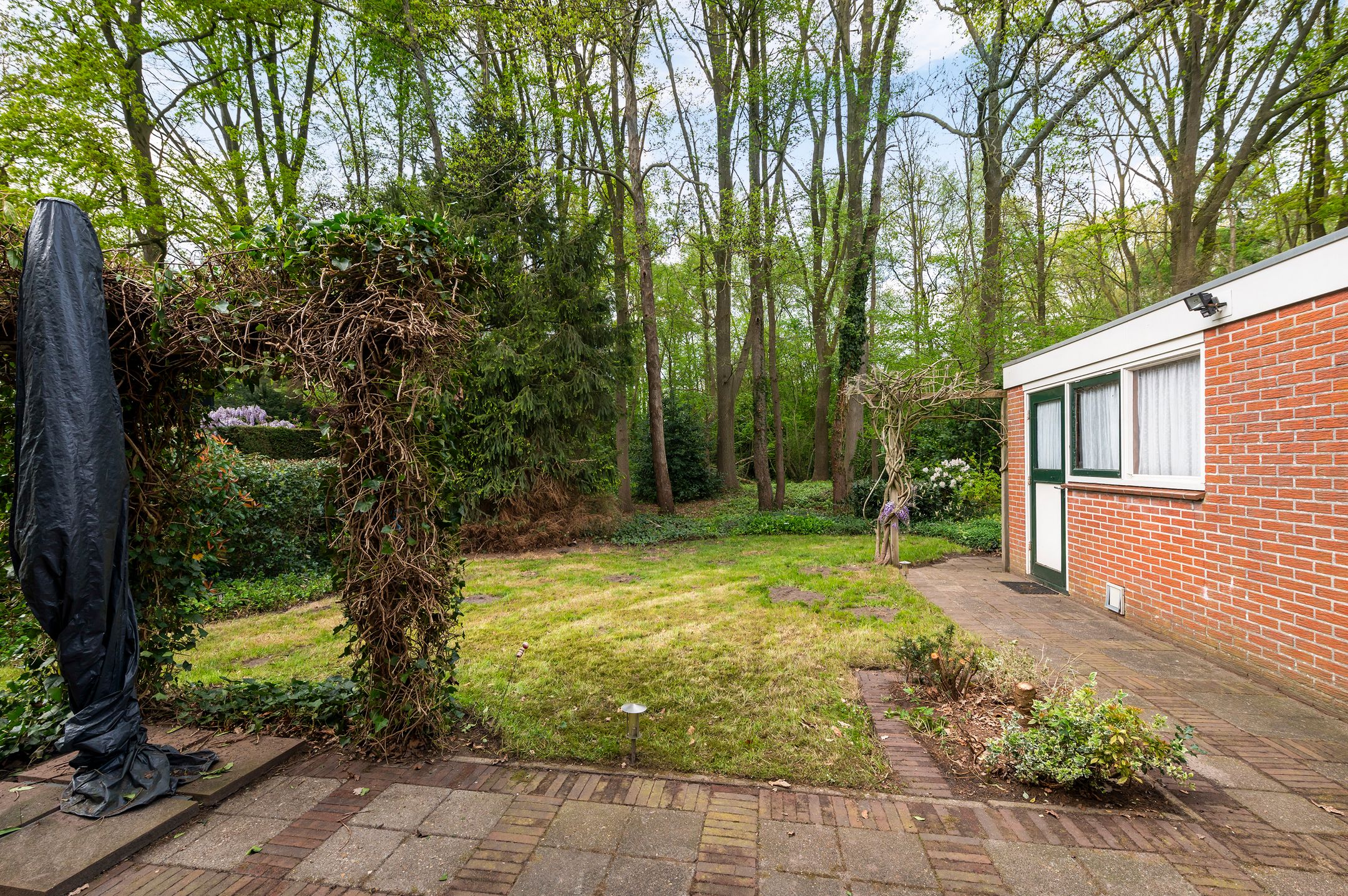 Foto 3 van Pieter Langendijkstraat 38