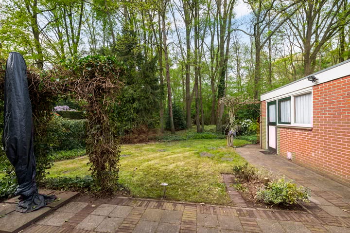 Foto 3 van Pieter Langendijkstraat 38