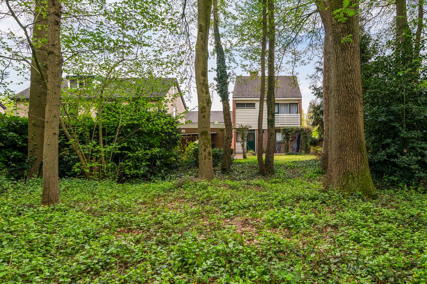 Foto 5 van Pieter Langendijkstraat 38