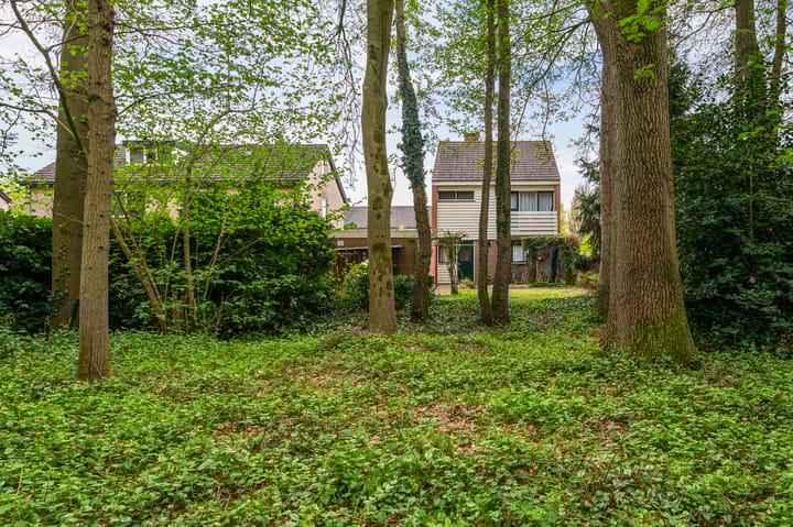 Foto 5 van Pieter Langendijkstraat 38