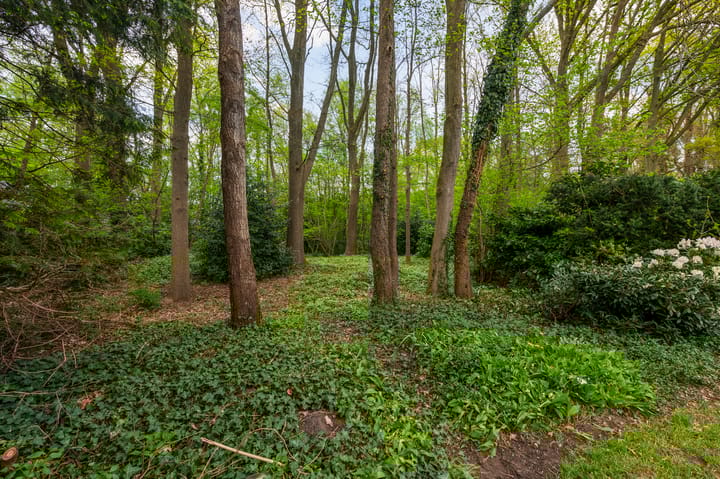 Foto 6 van Pieter Langendijkstraat 38