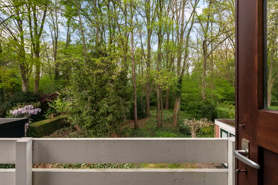 Foto 17 van Pieter Langendijkstraat 38