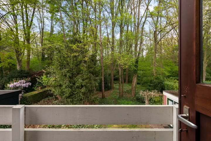 Foto 17 van Pieter Langendijkstraat 38