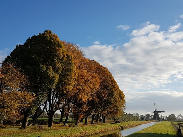 Foto 39 van Ouderhoek 82