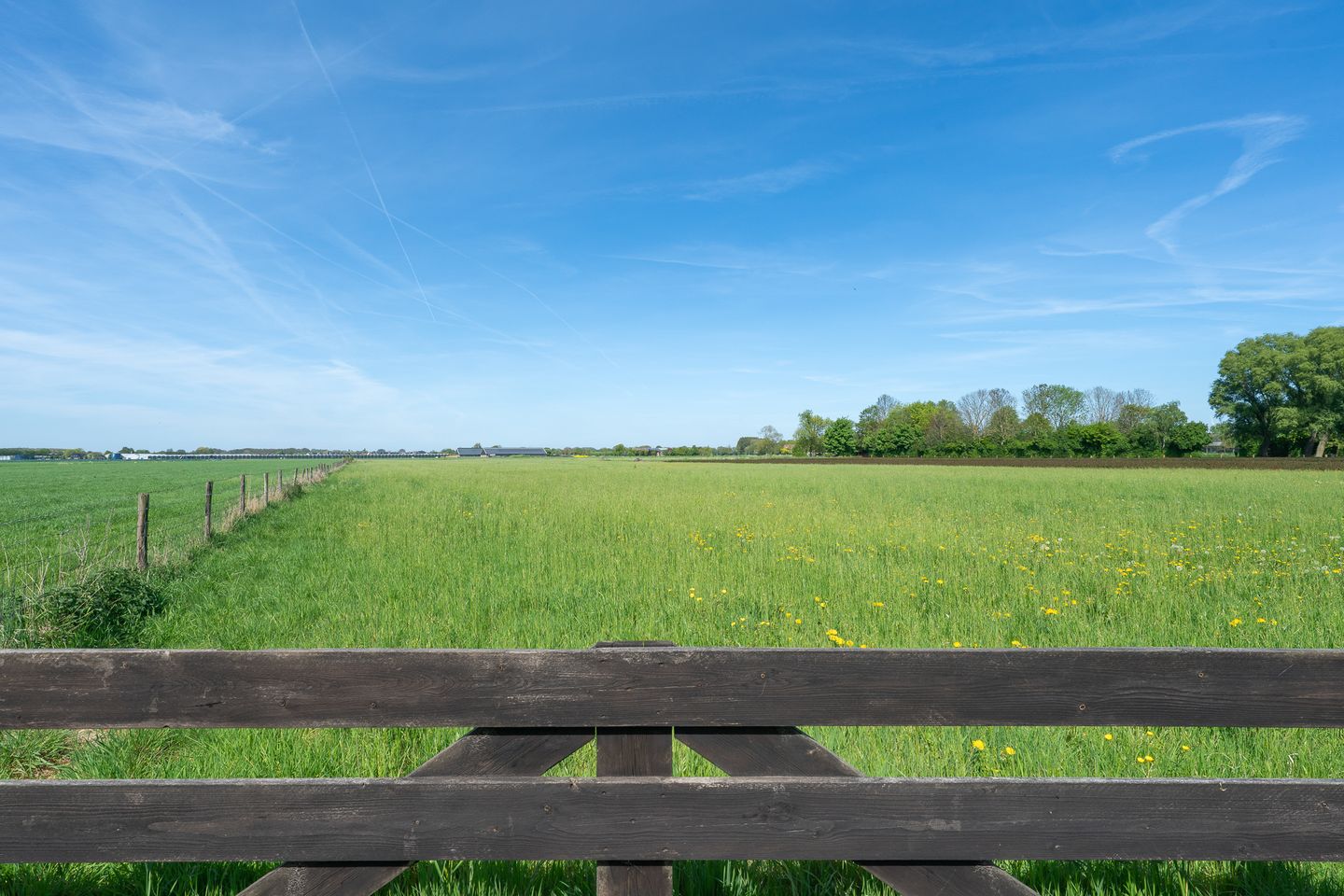 Foto 55 van Dorpsweg 16-A